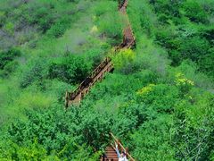 -大岭沟猕猴桃谷风景区