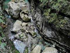 -鹿院坪生态旅游景区