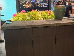 -杏花村水席楼·洛阳水席(老城十字街店)