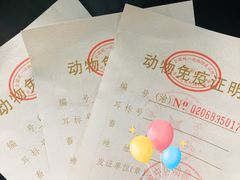 -宠颐生贝利健动物医院(谢家湾分院)