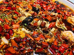 -雲蜀龙阁·金牌水煮鱼(方庄店)