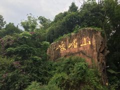 -峨眉山报国寺