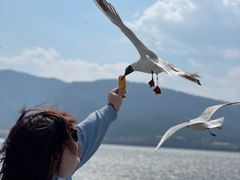 -滇池海埂公园