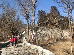 -阳台山自然风景区