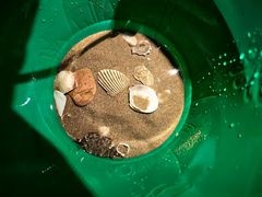 -青岛石老人海水浴场