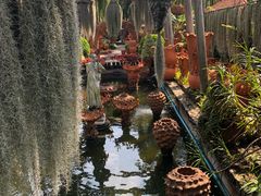 游乐设施-东芭乐园