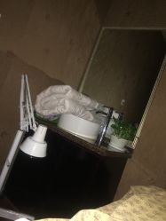-诗芙侬女士美容SPA