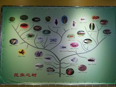 -上海昆虫博物馆