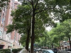 -刘长和手工粉(天城尚品店)