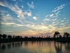 -明珠湖天鹅苑·农家菜馆