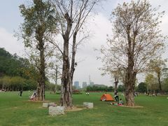 -顺峰山公园