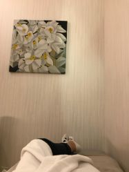 -必瘦站