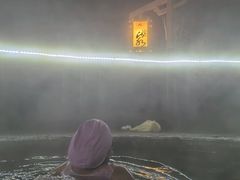 -崇阳三特浪口温泉