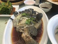 清蒸石斑-双井轩(双井店)