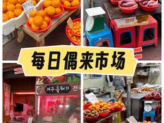 -西归浦每天偶来市场