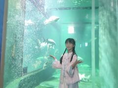 -洛阳龙门海洋馆