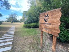 -上海崇明金茂凯悦酒店