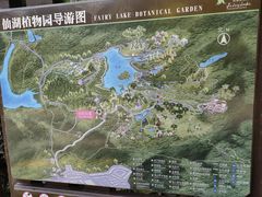 -深圳仙湖植物园