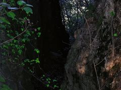 -南京市无想山景区