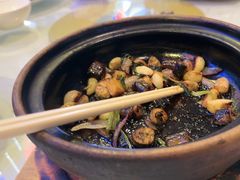 -明本湛江鸡•海鲜小厨(陈家祠店)