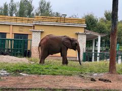 -哈尔滨北方森林动物园