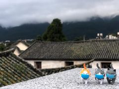 -喵屿·大理花园猫咖