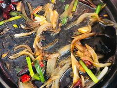 -鑫巴蜀小镇 · 水煮鱼专研店(玉桥店)