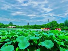-西海子公园