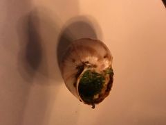 -金蜗牛