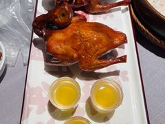 -大鸽饭(体育西路店)