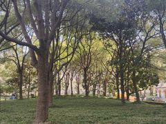 -陆家嘴中心绿地