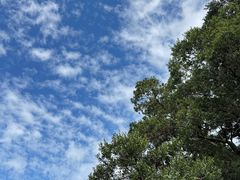 -Takapuna Beach Cafe