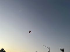 -华侨公园
