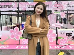 -金茂览秀城