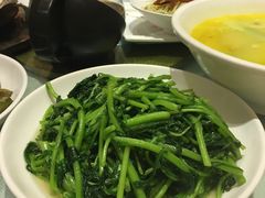 清炒茼蒿-渔人码头(中南店)