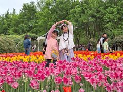 -石家庄市植物园
