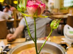 -水林间·寿喜烧自助(仙林金鹰店)