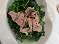 板蓝根-宝园酒家(美林M·LIVE天地东座店)
