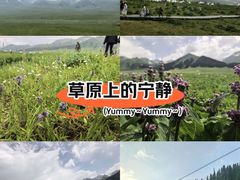 -新疆那拉提国家旅游度假区
