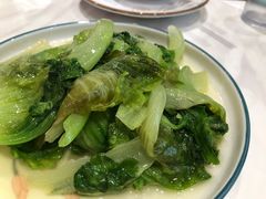 耗油生菜-老苏州芳和园茶酒楼  传统苏帮菜(观前店)