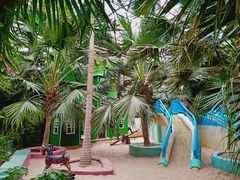 -呀路古热带植物园