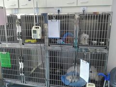 -康成宠物医院24H·CT·核磁共振