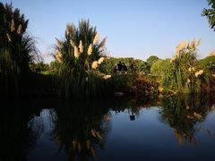 -乌镇望津里精品酒店