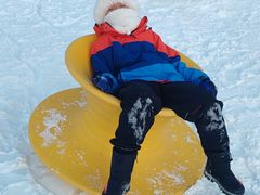 -大兴滨河森林公园