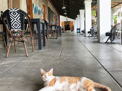 -喜洲吧·江畔老船厂·庭院餐厅(喜临院店)