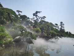 -罗红摄影艺术馆