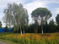 -永定河休闲森林公园