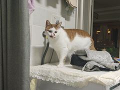 -麻麻鱼府主题涮锅(明珠家园店)