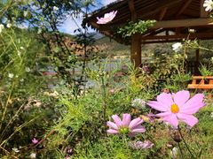 -丽江泸沽湖景区