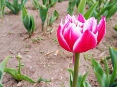 -长春公园(普阳街道)